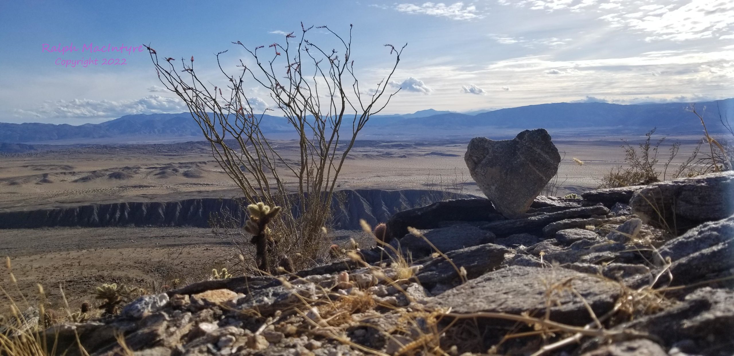 Heart Shaped Rock