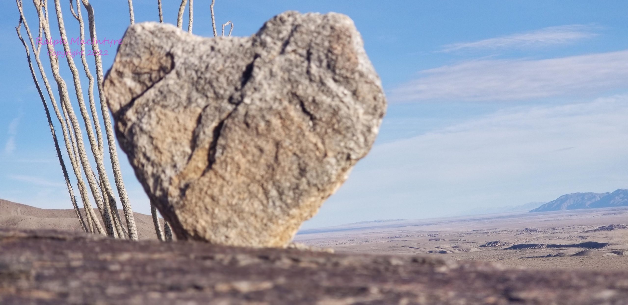 Heart Shaped Rock