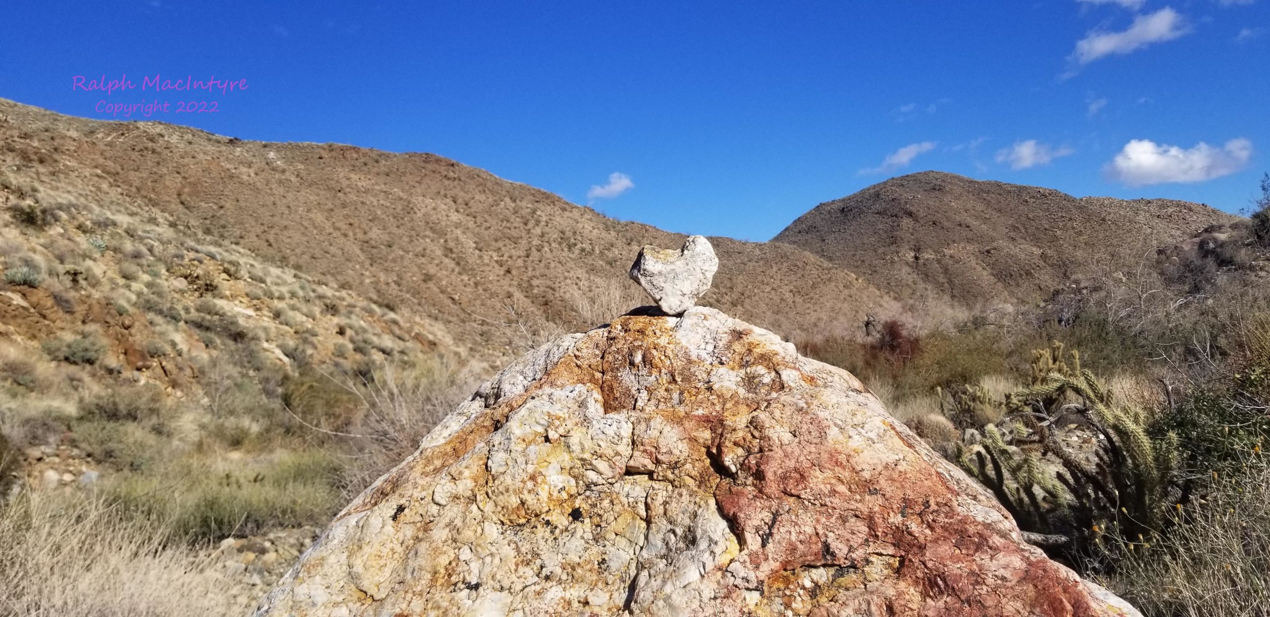 Heart Shaped Rock