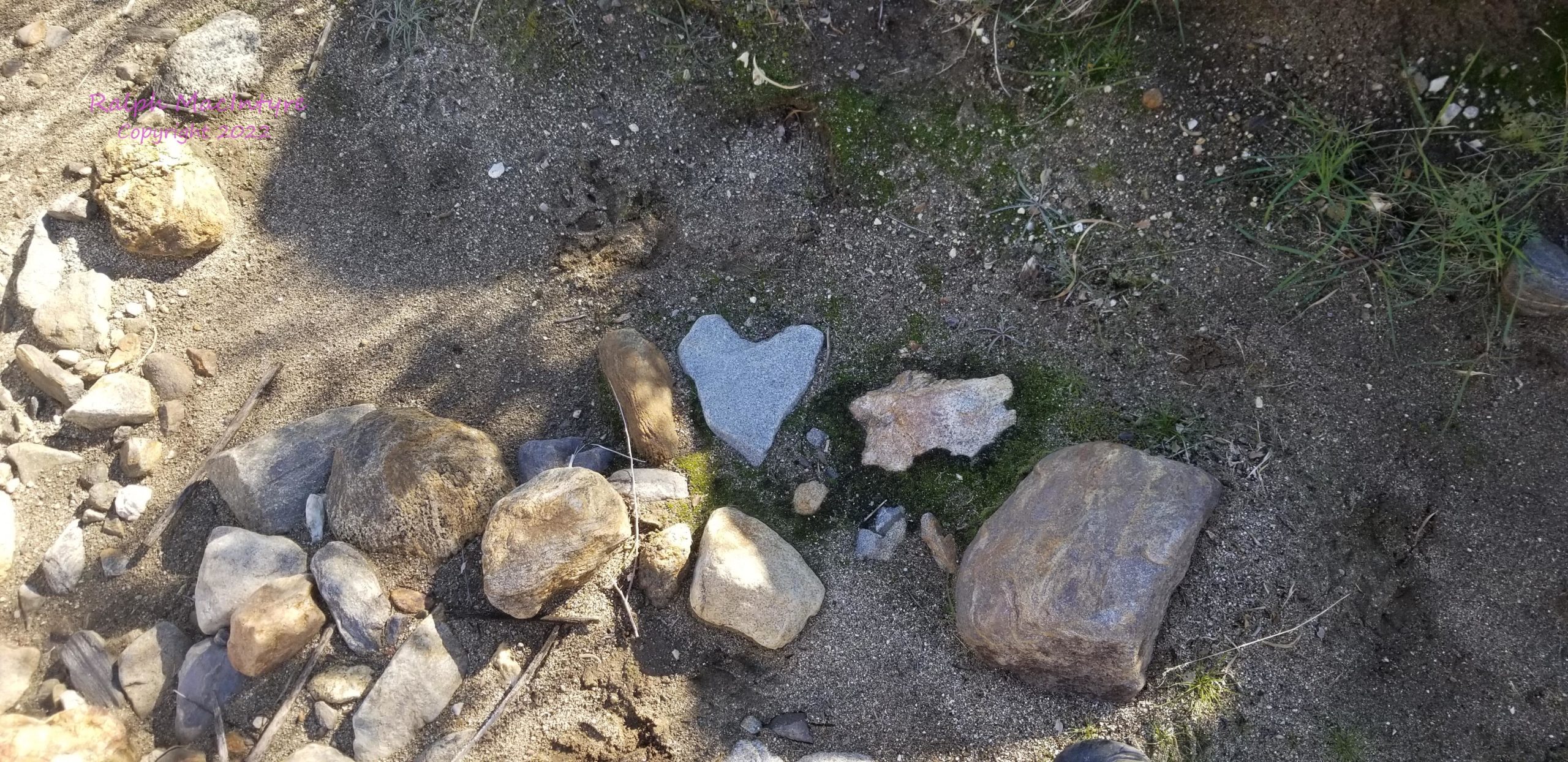 Heart Shaped Rock