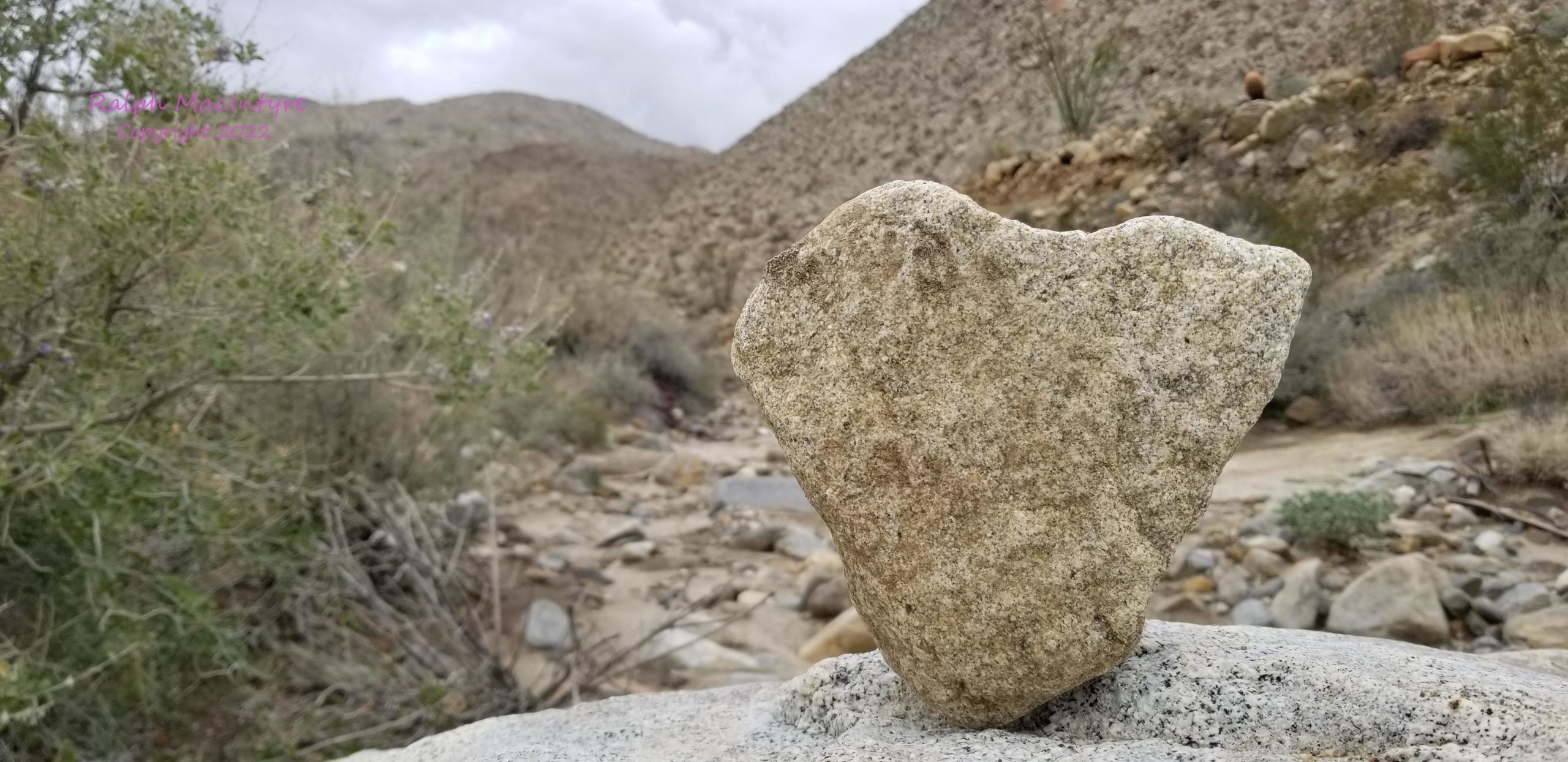 Heart Shaped Rock