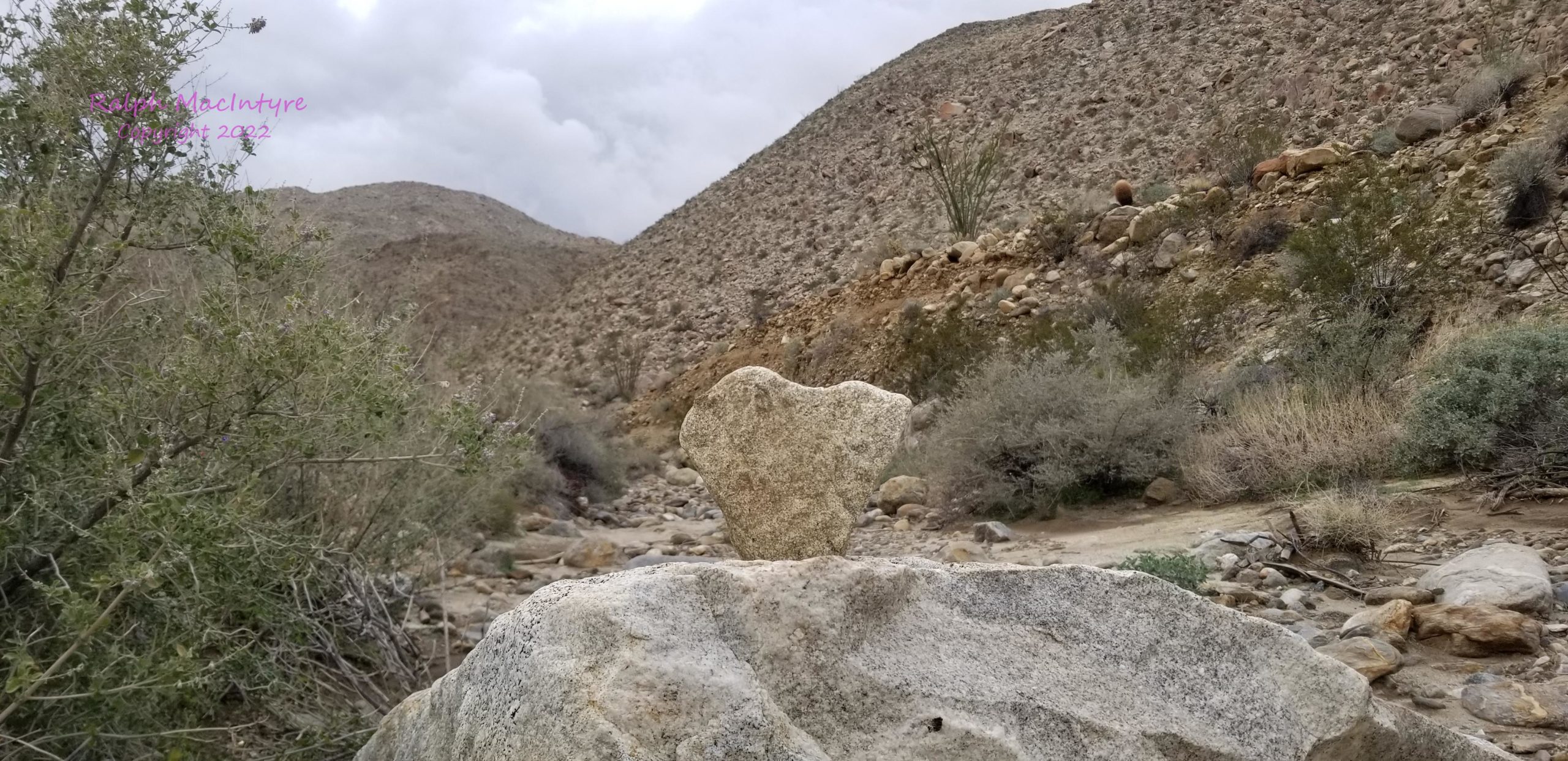 Heart Shaped Rock