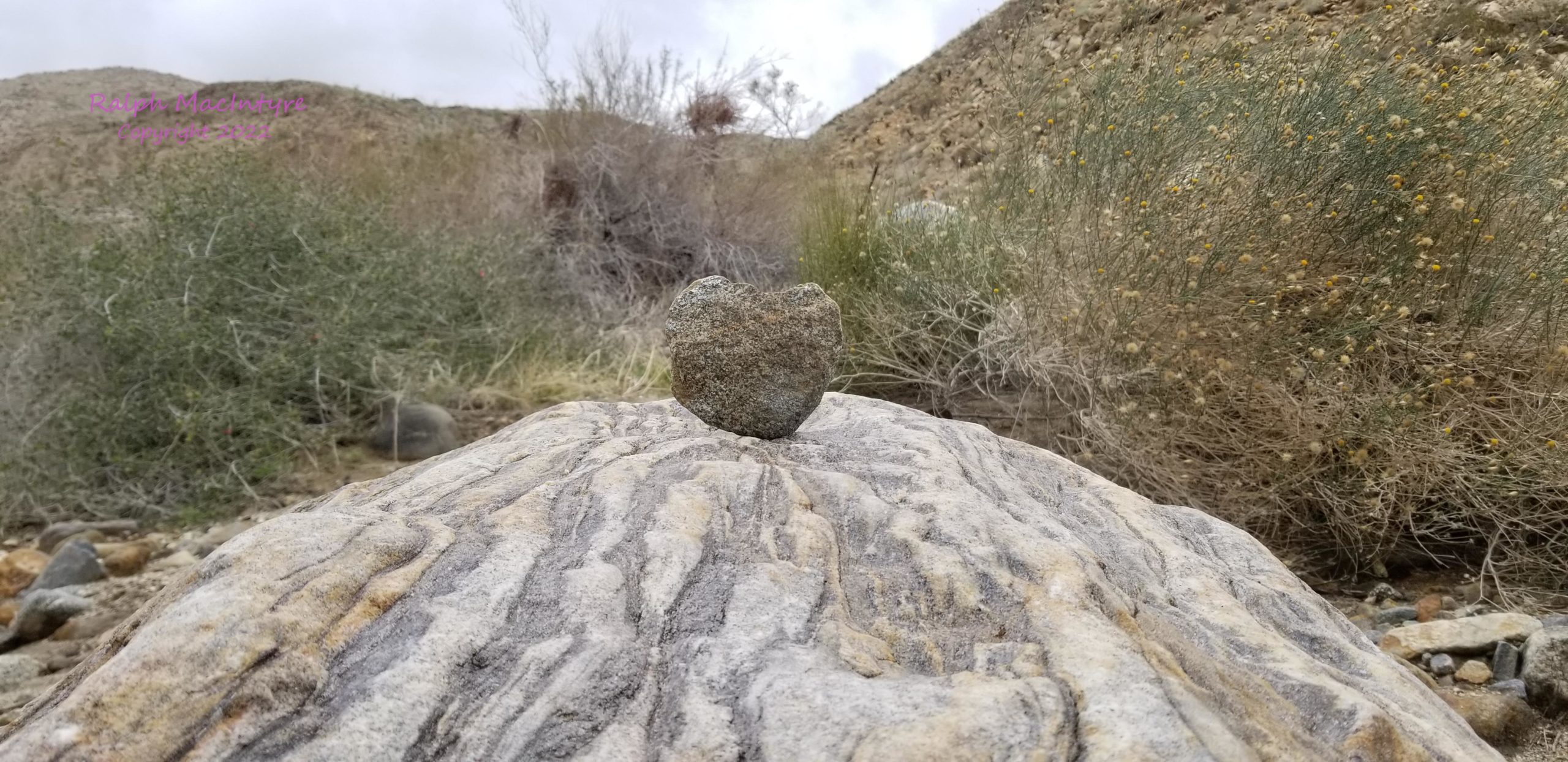 Heart Shaped Rock