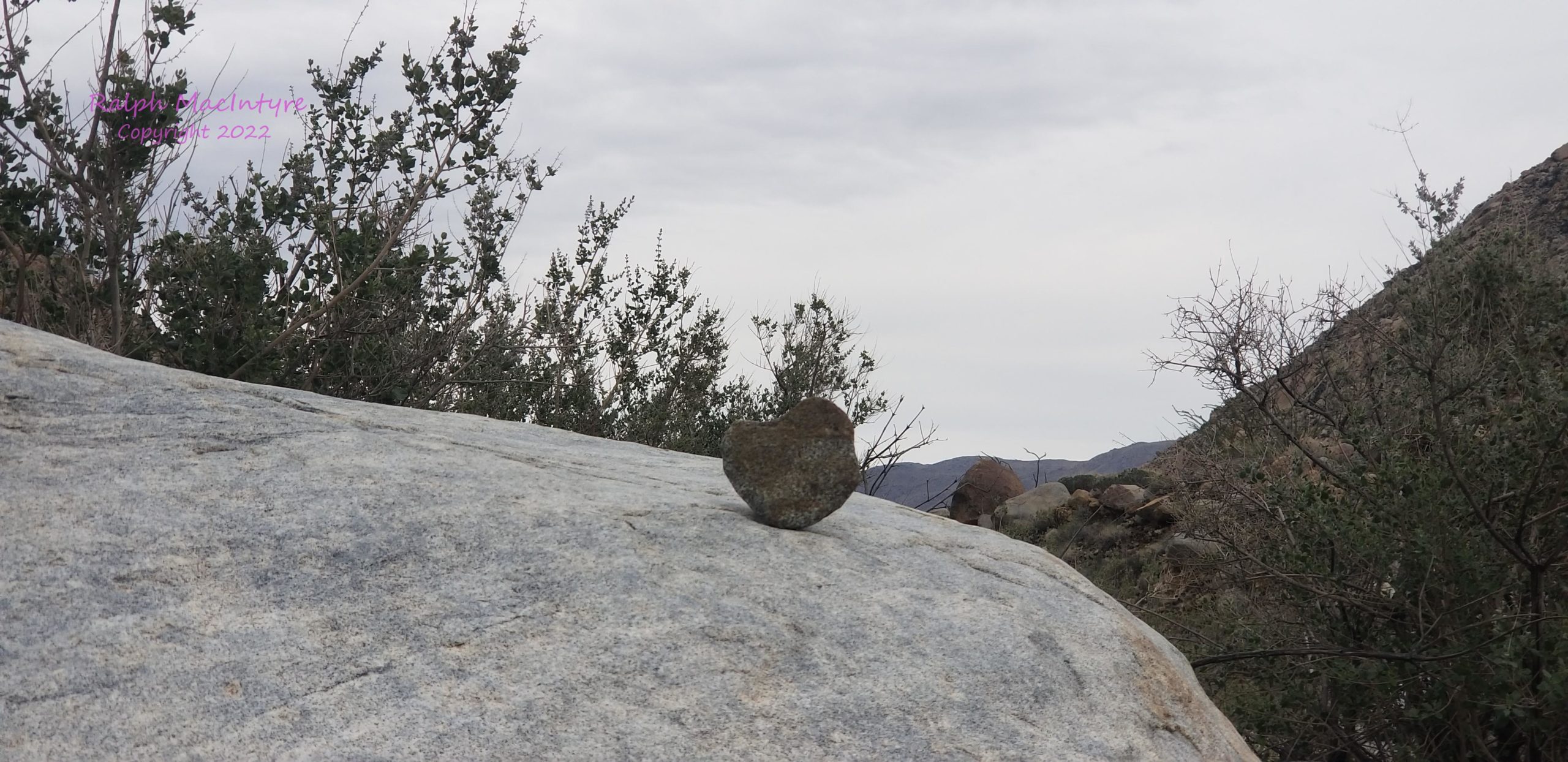 Heart Shaped Rock