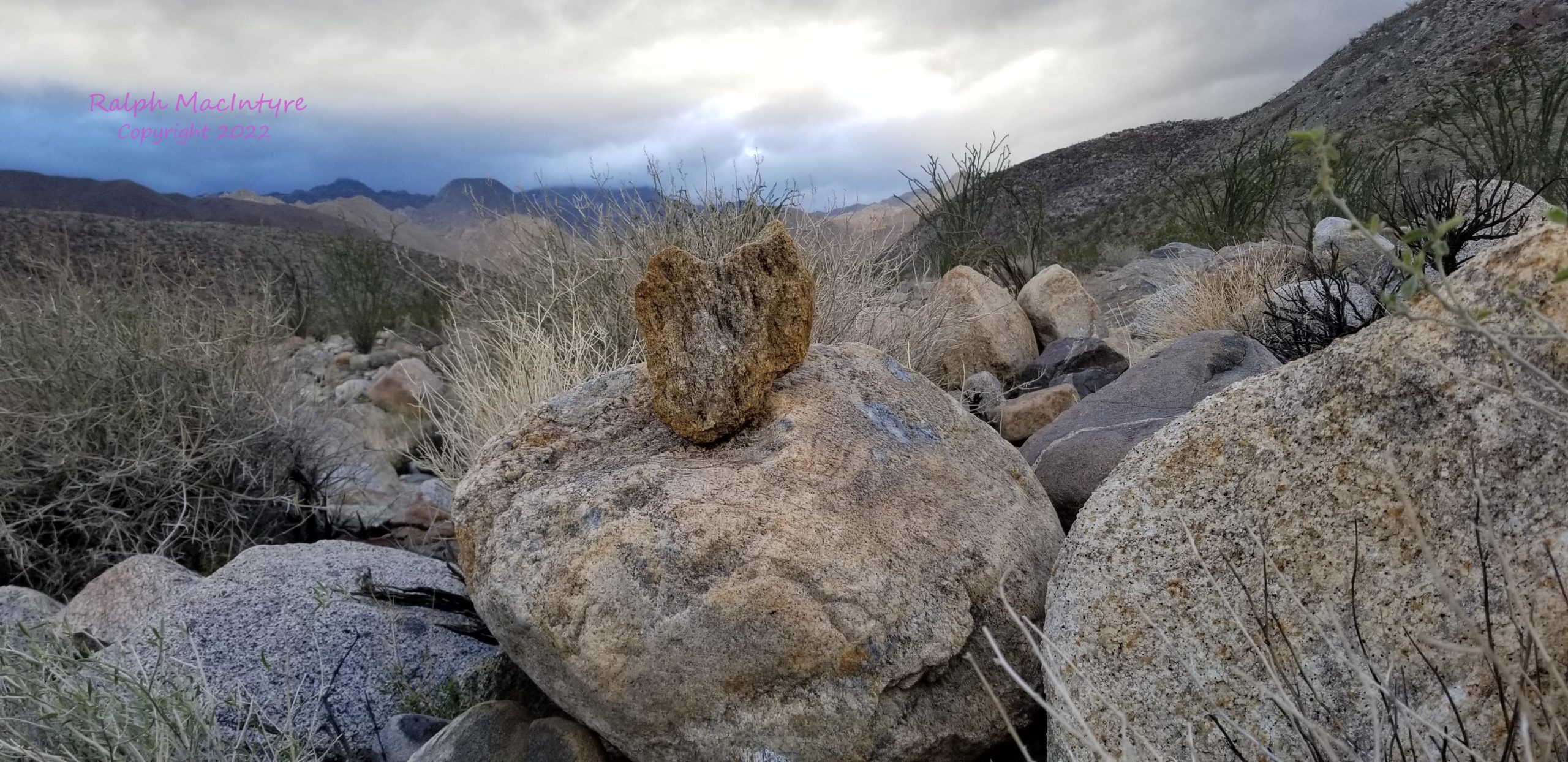 Heart Shaped Rock