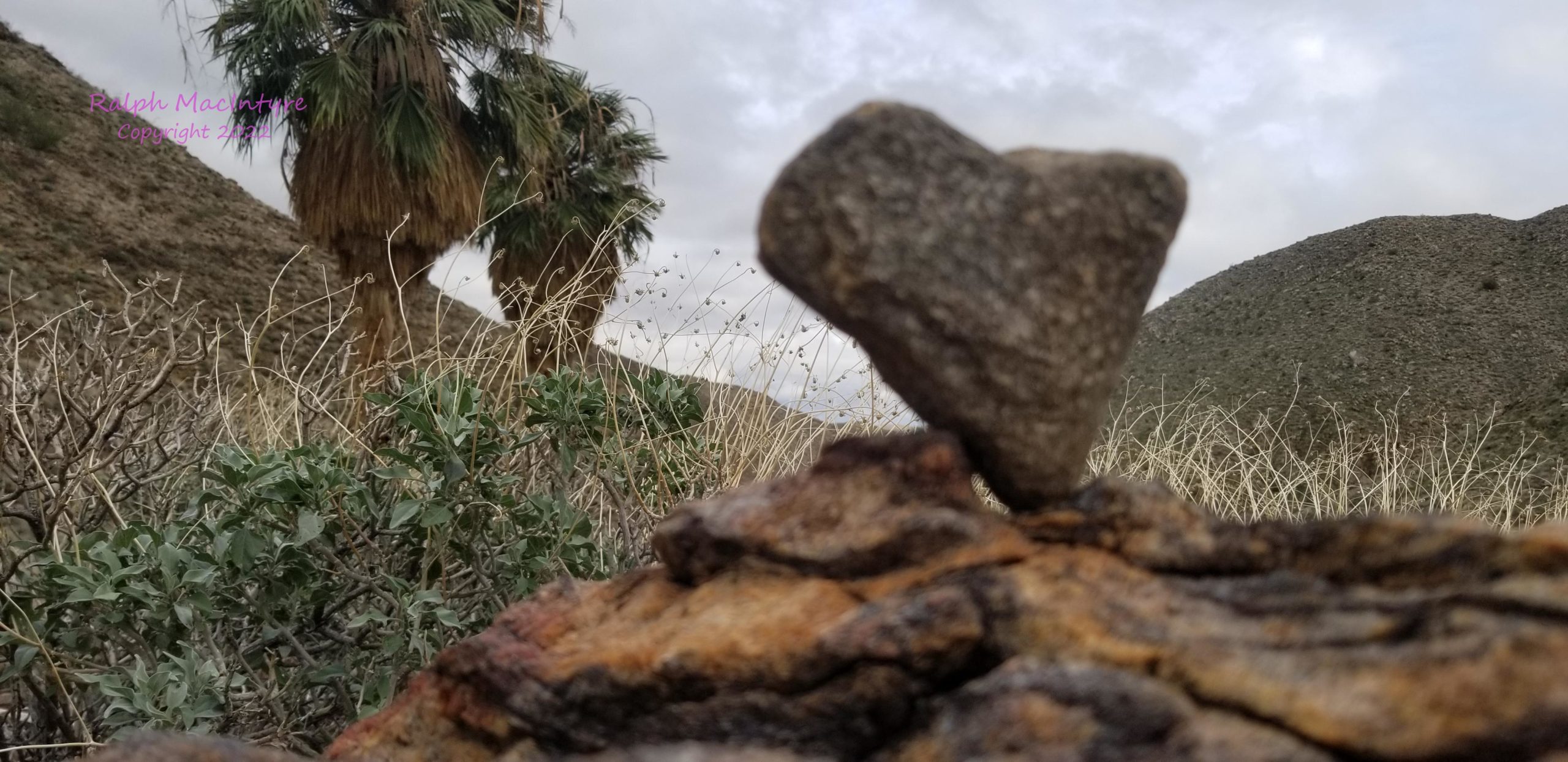 Heart Shaped Rock