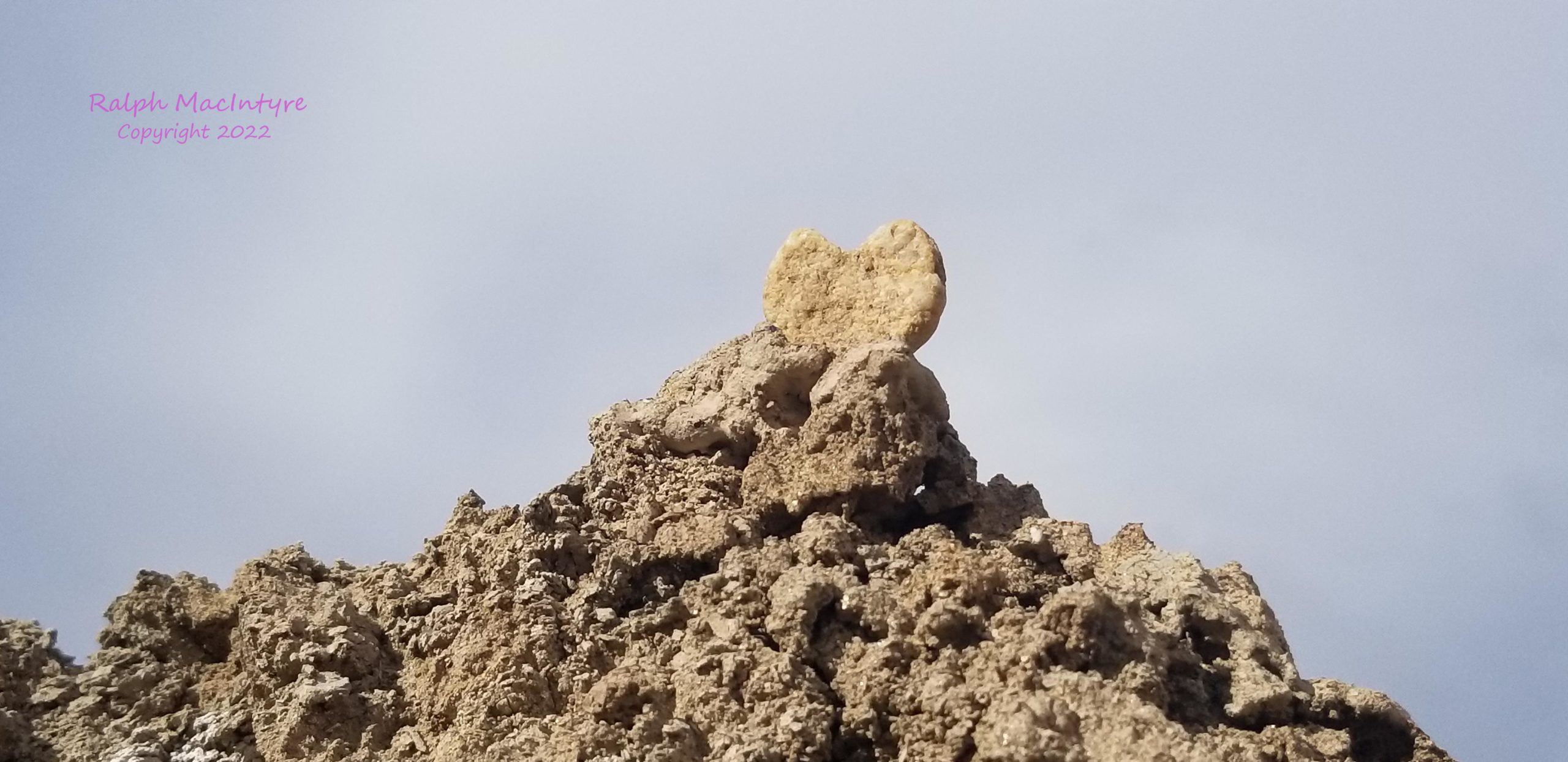 Heart Shaped Rock